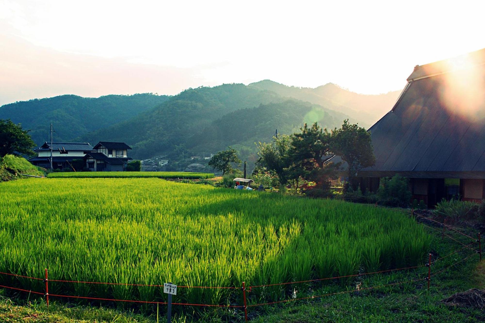 古民家の宿 ふるま家 Furumaya House Gastronomic Farmstay In Deep Kyoto 福知山 外观 照片